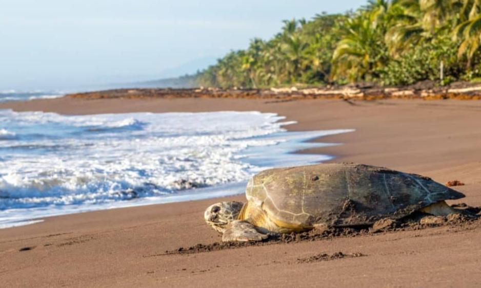 COSTA RICA